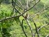 diegodeocampo - 06